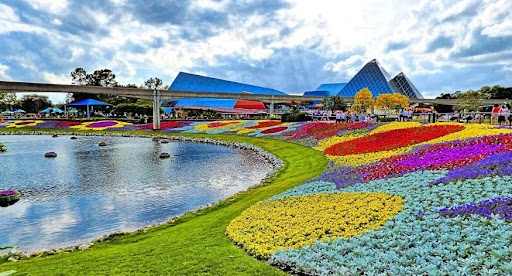 500 species of orchids are currently speaking for themselves. Experience the Sikkim International Flower Festival through the lens of IRCTC Air