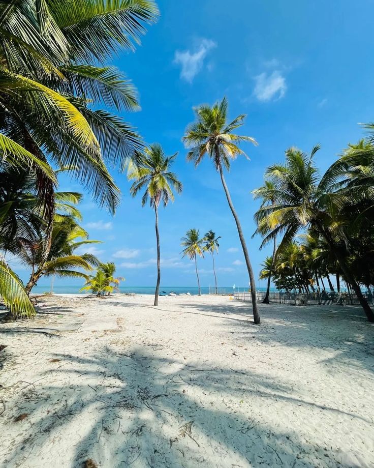 Beyond the Usual Shores: Book Lakshadweep Flights or Escape to Varkala via IRCTC Air